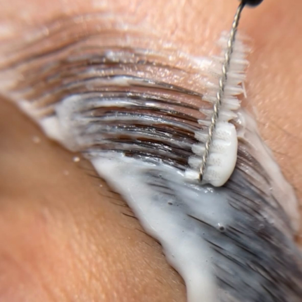 Brow Lamination +Tint🪽 at SkinKissed_ByRafaela in Salem, OR