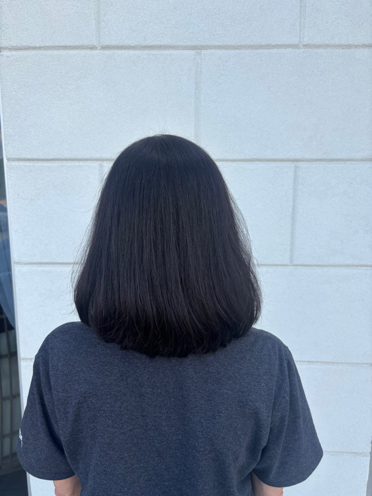 All Over Color at Megan Hinkson Hair & Beauty in Bryant, AR