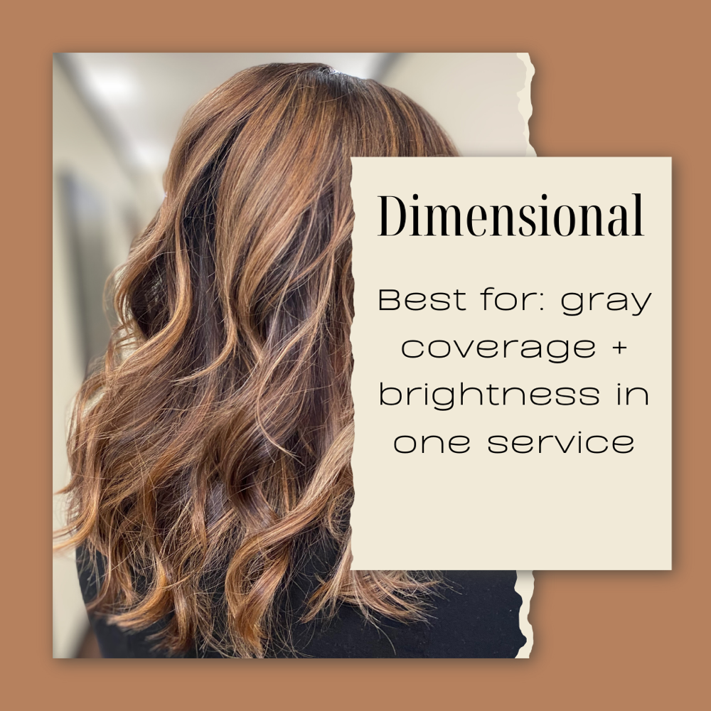 The Dimensional Experience