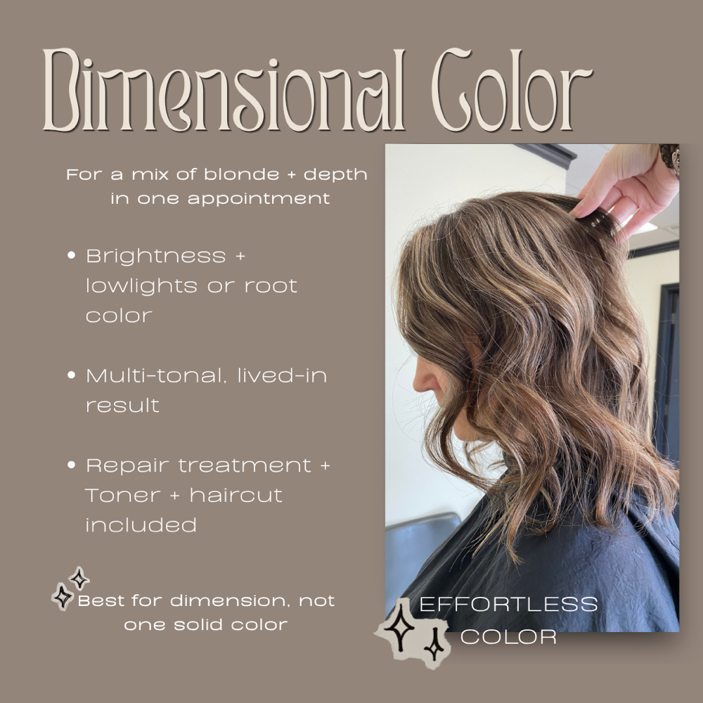 Dimensional Color at Painted Hair Studio Salon in McDonough, GA