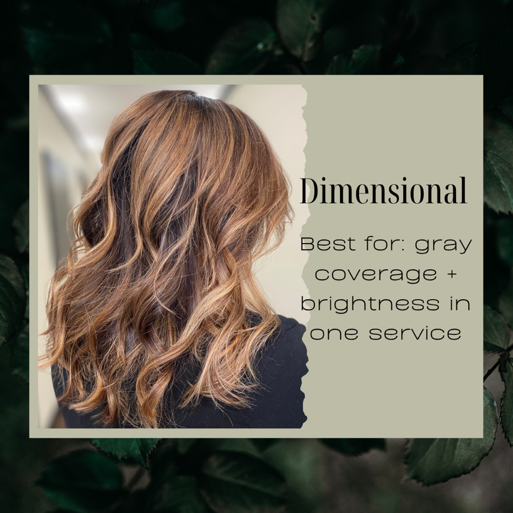 The Dimensional Experience