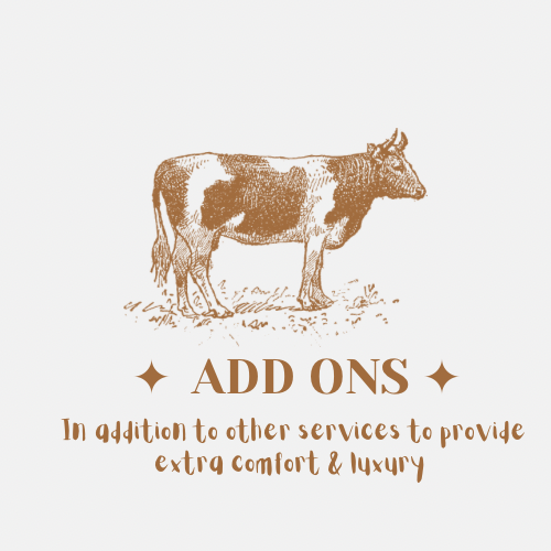 Add Ons - Lash Extensions