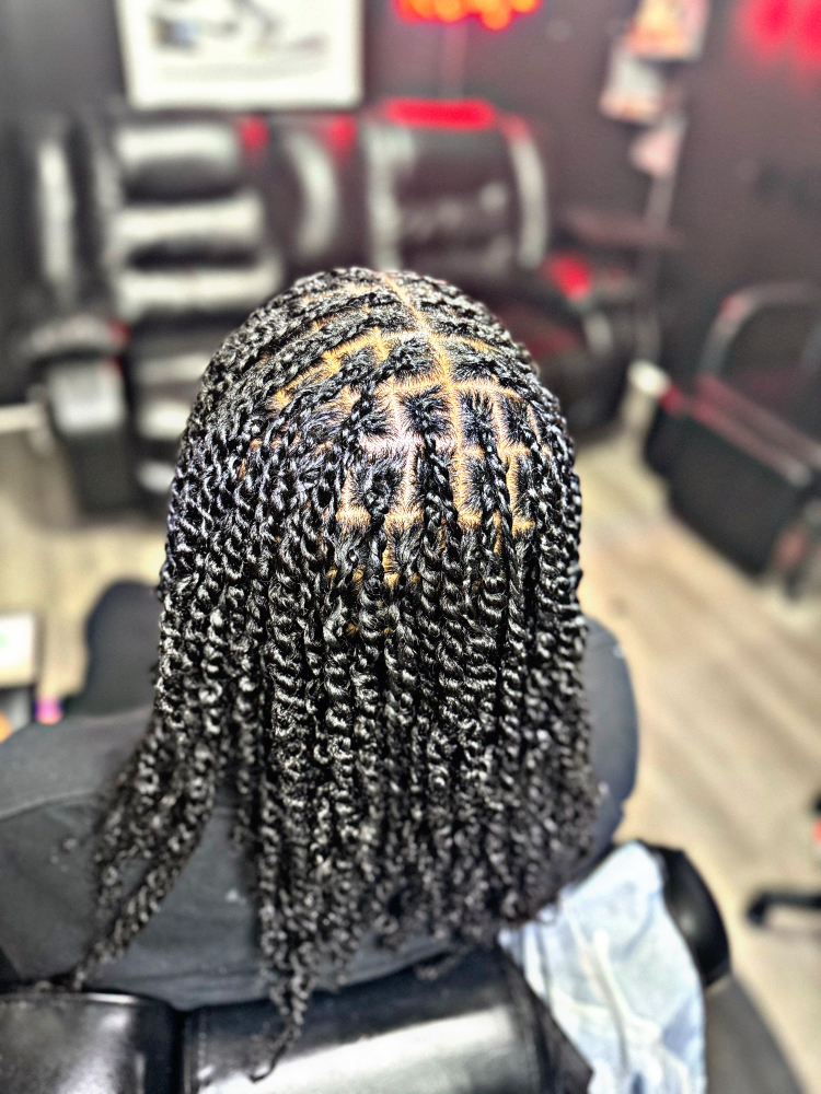 Two Strand Twist(natural Hair)