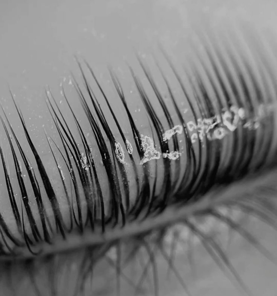 Lash Lift & Tint