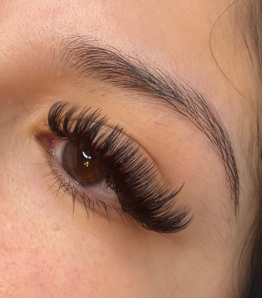 Wet Lash Full Set