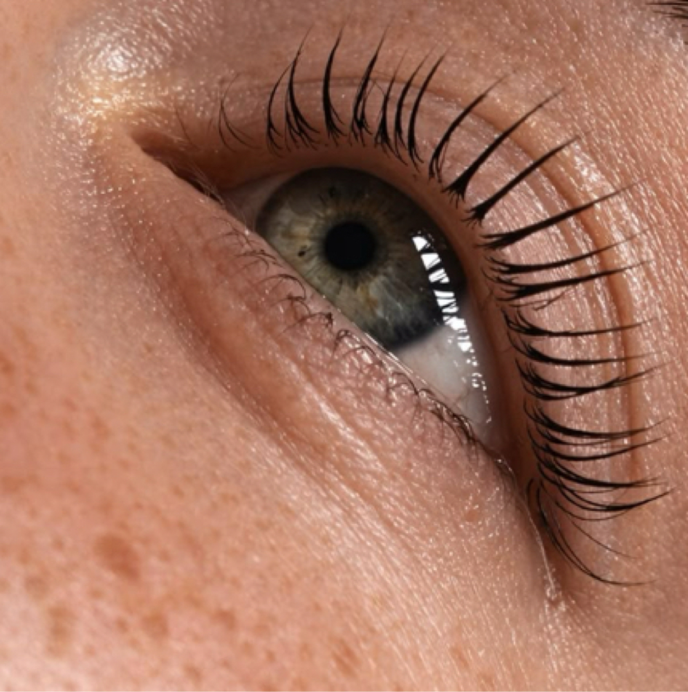 Lash Tint at Salt Skin Studio in Bentonville, AR