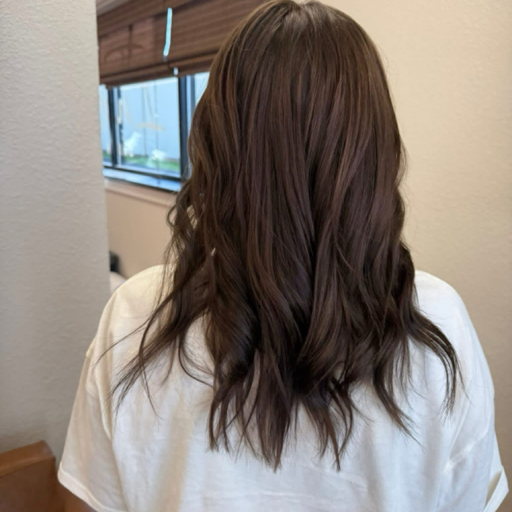 Color All Over at Ashley North Stylist in Joplin, MO