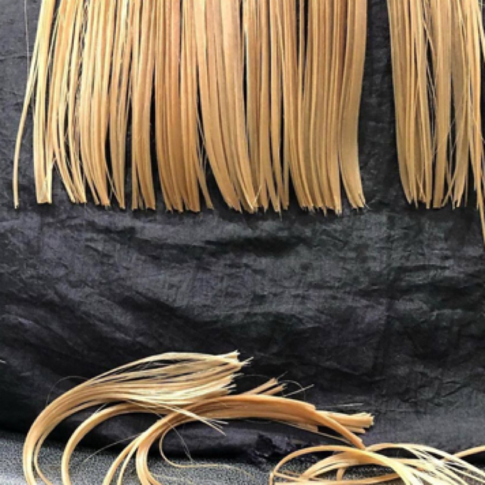 Haircut (no blowout) at Hair by Alexandria in Huntersville, NC