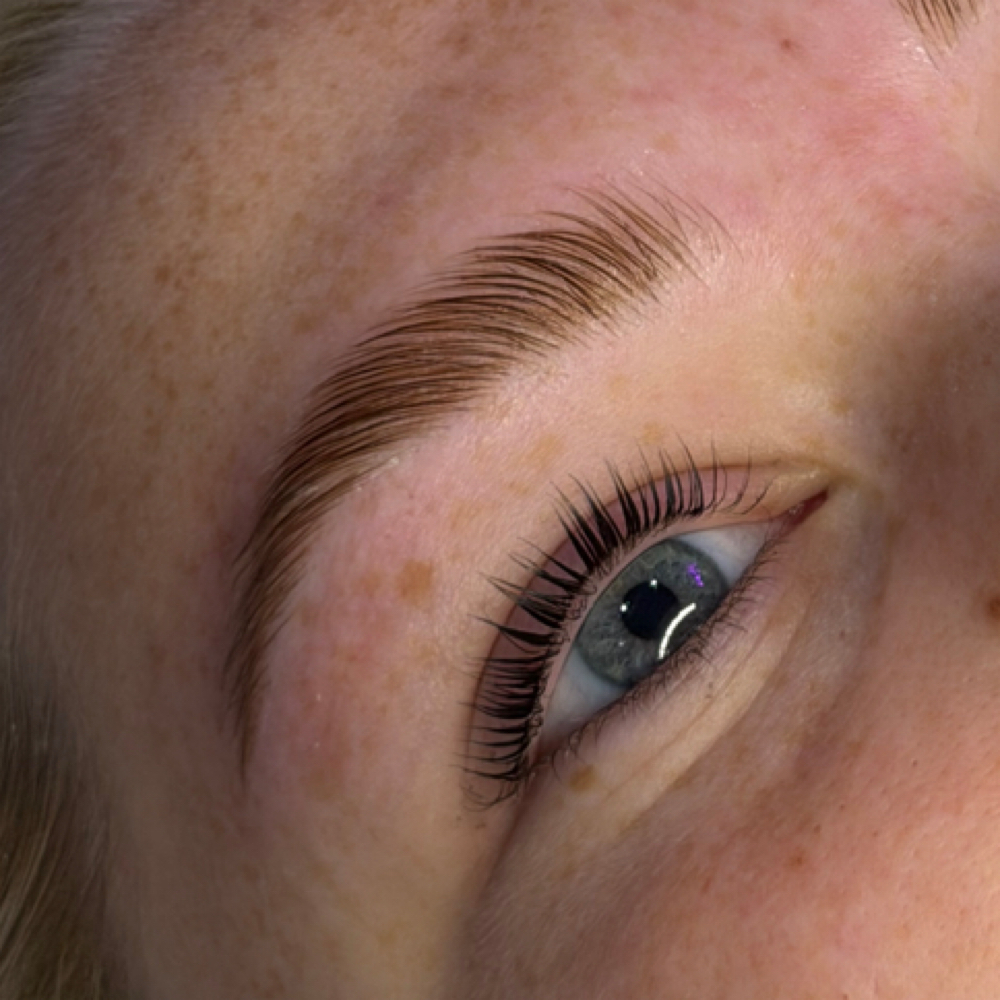 Brow Trio Wax,Lami,Tint at Sugarpro in Saint Mary’s, GA