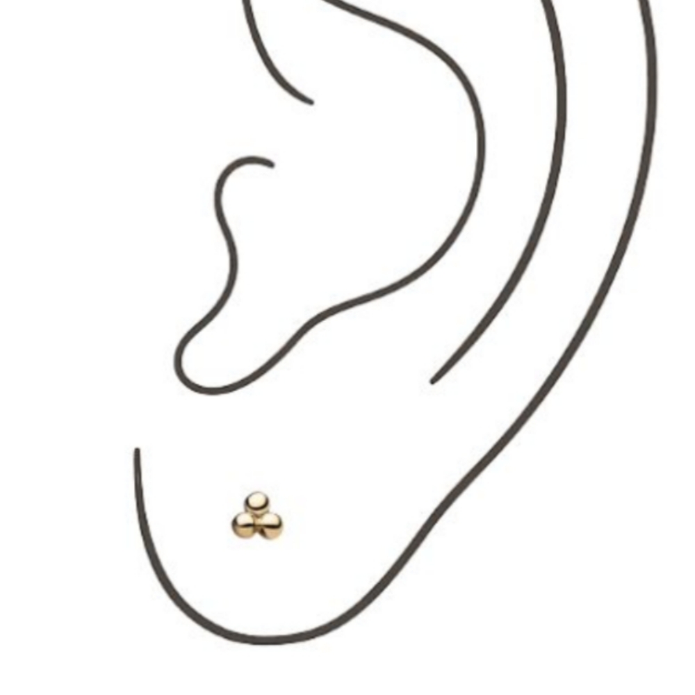 Constellation Piercing at The Lash & Brow Room, LLC in Natrona Heights, PA