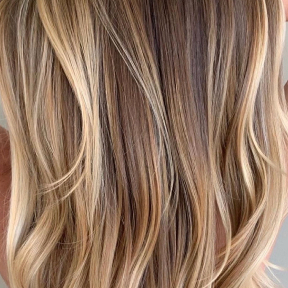 Hair Cut & Blow Dry at Blush Beauty Bar West Palm Beach in Wellington, FL