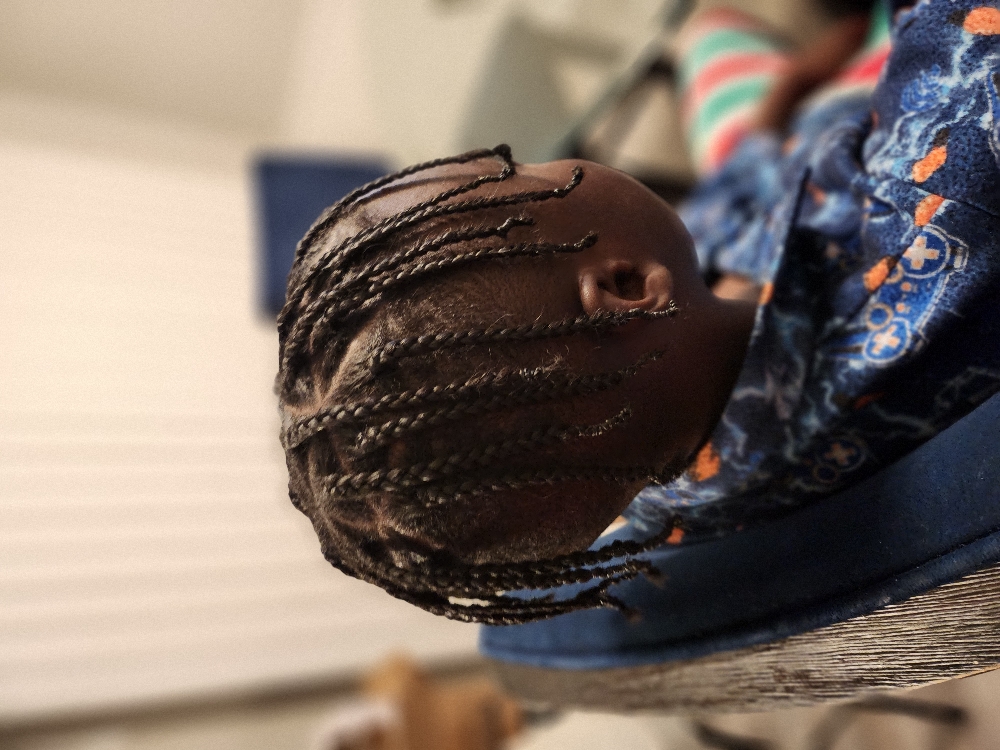 Individual Plaits On Natural Hair