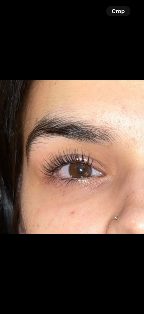 Lash Lift & Tint Bundle