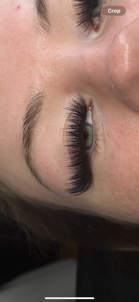 Volume Lashes