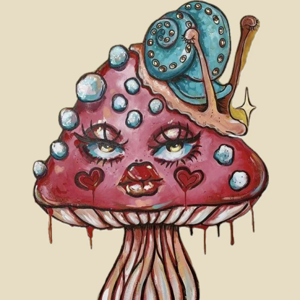 Wet Set 2 Week Fill at trippalash in Boulder, CO