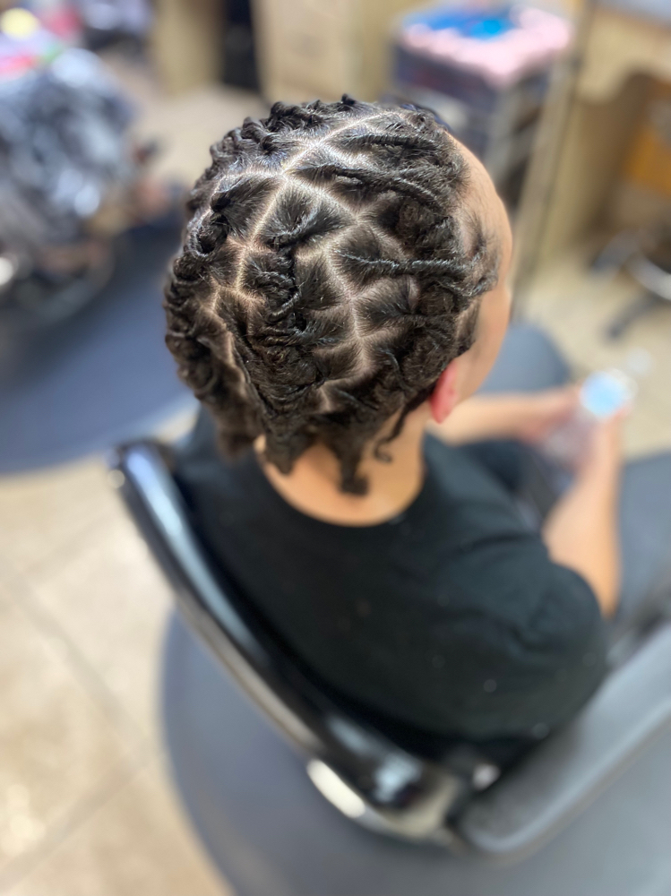 Retwist + Style (full Head )