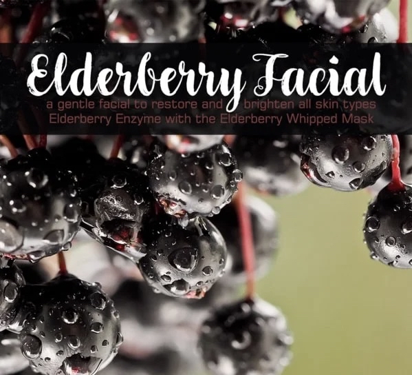 Elderberry Fall Facial at Jo’s Haven in Birnamwood, WI