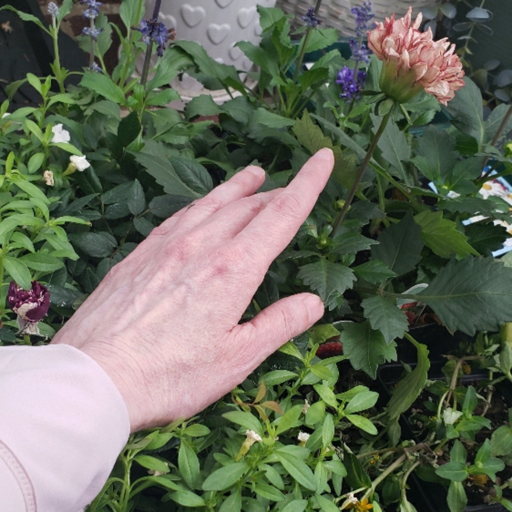 Hand Treatment Upgrade at Side Porch Wellness in Wernersville, PA