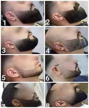 BEARD TRIM