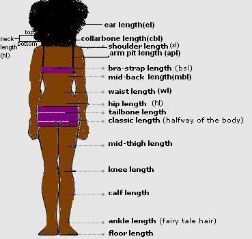 Add Length