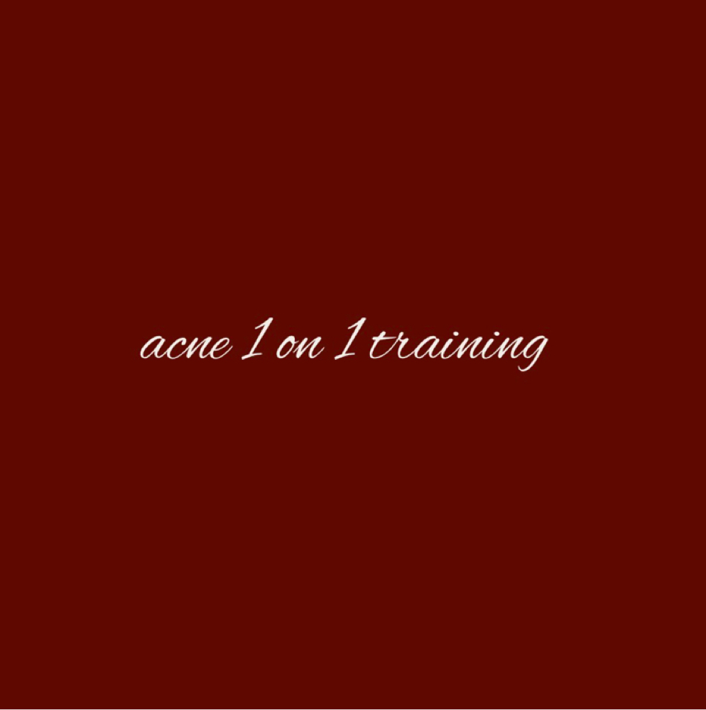 Acne 1 - 1 training | IN PERSON at The Skintuary in Avondale, AZ
