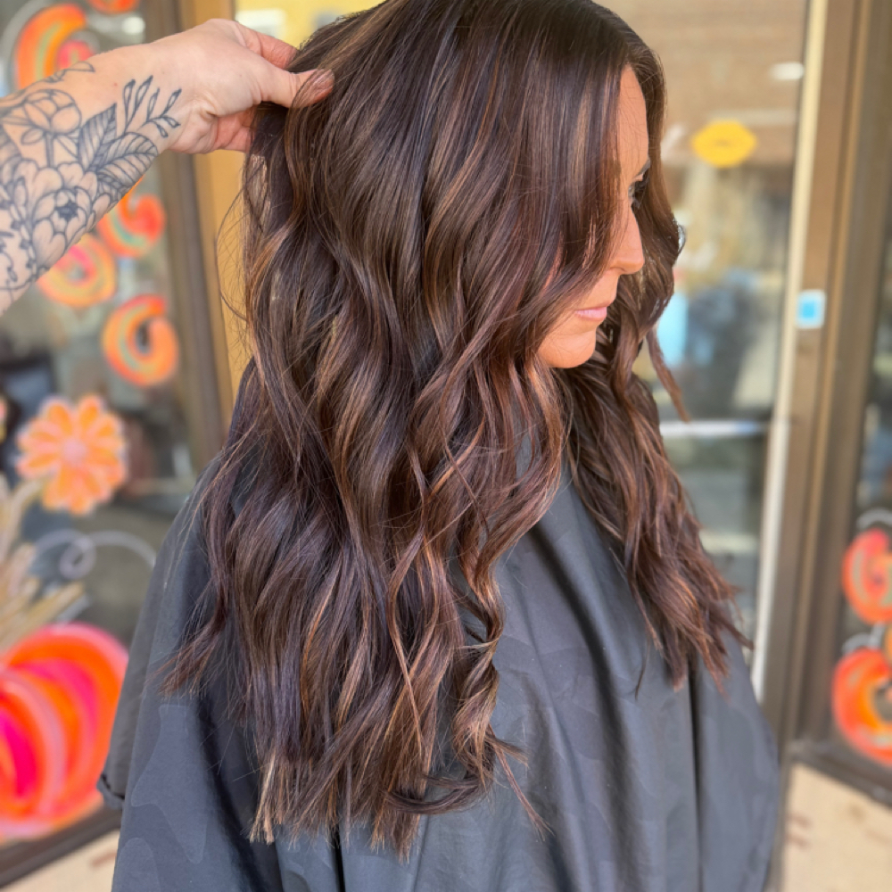 2 Color Partial Bayalage at Kenzie Painter in Boaz, AL