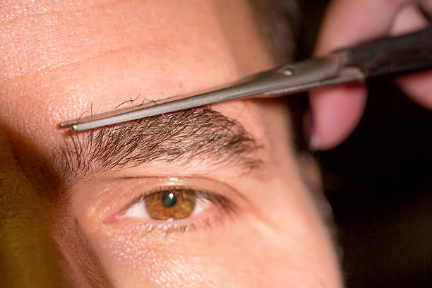 Brow Maintenance