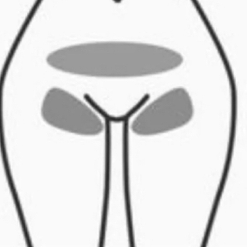 Full Bikini Wax (Women Only) at Beauty Esthetics Loft in Denver, CO