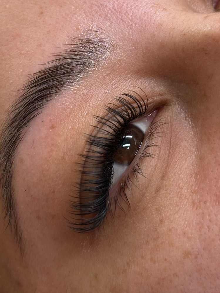 Wet Set Lash Extentions at Glo Beauty Studio LLC in Los ANGELES, CA