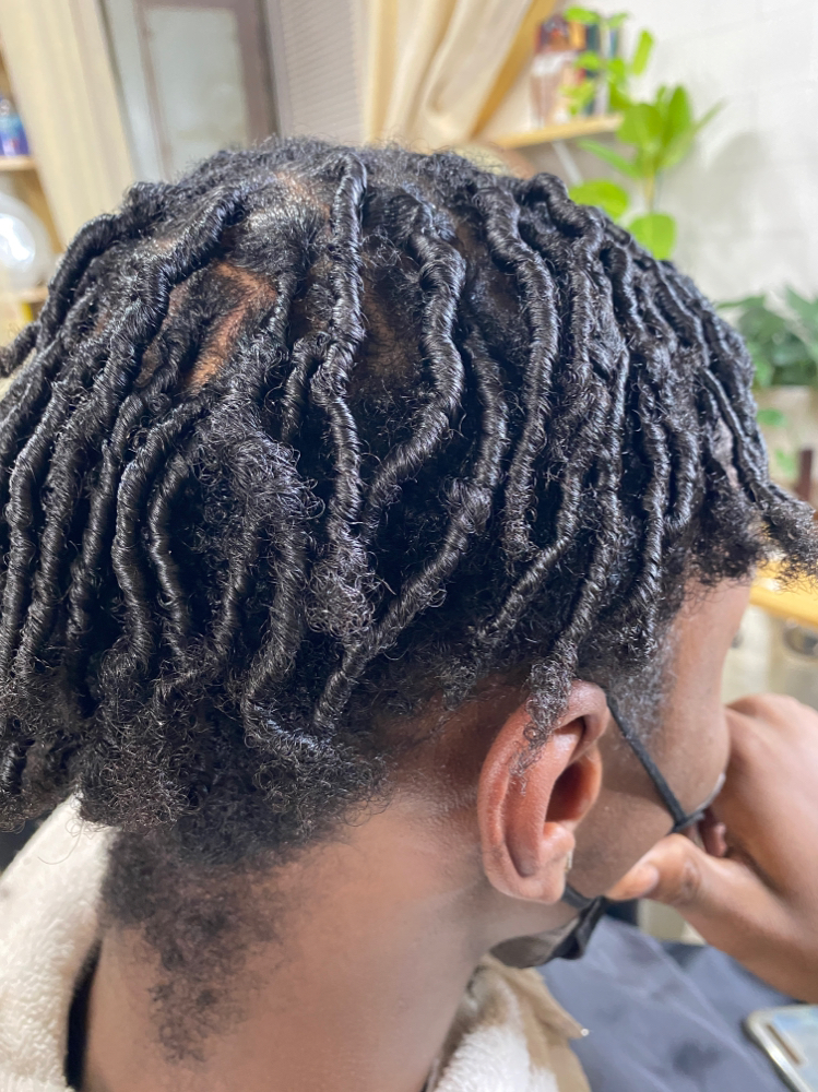 Wash & Retwist (Ear Length)