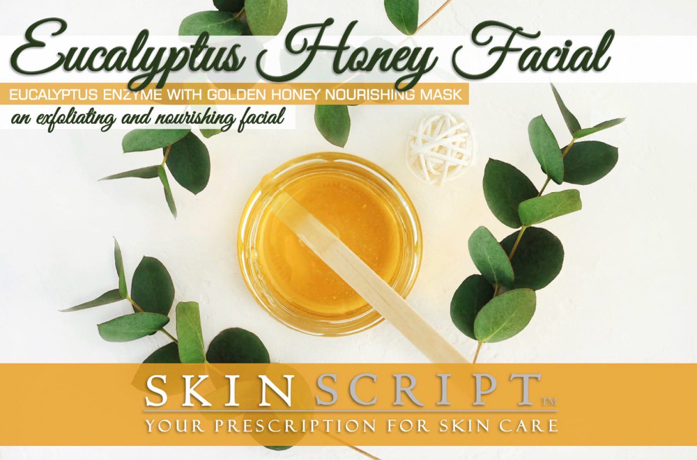 Winter Upgrade (Add On)