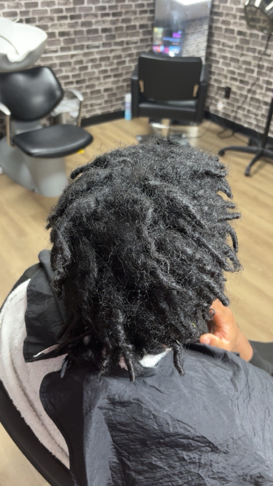 Starter Dreads