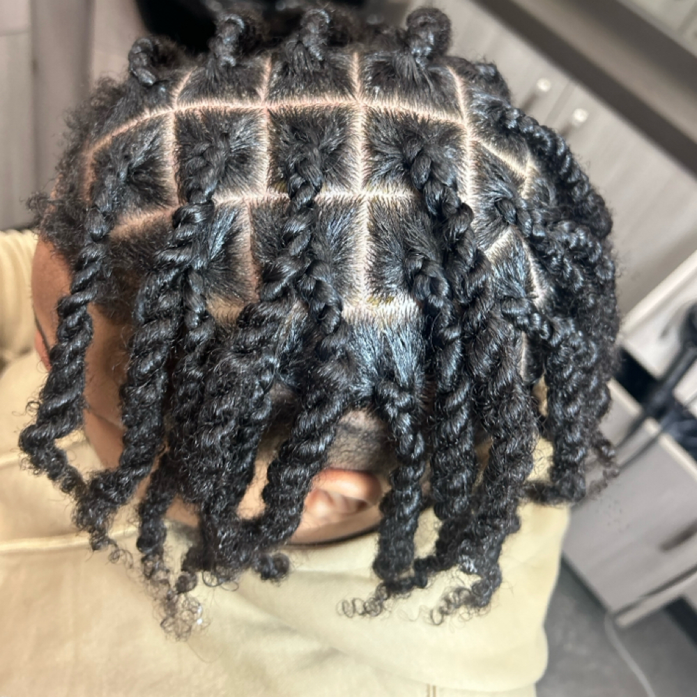 Two Strand Twist at Lotus Allure in Pittsburgh, PA