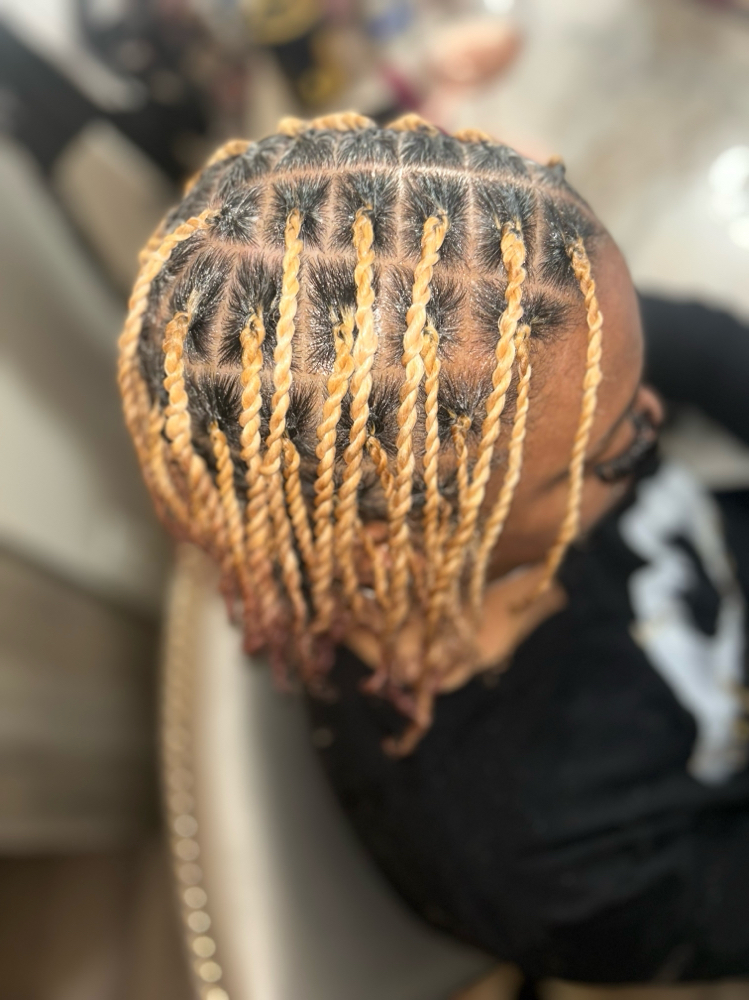 Two Strand Twist