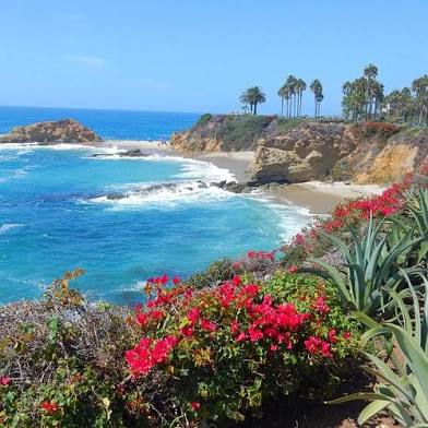 LAGUNA POP UP