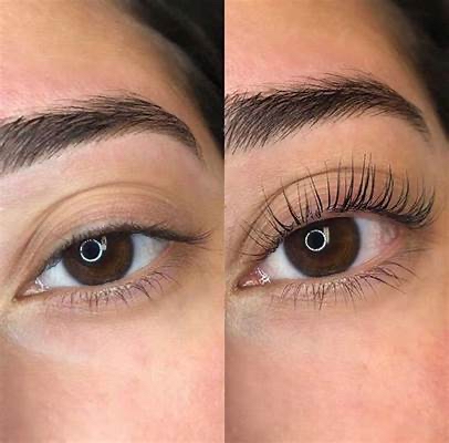 Brow/lash Tint