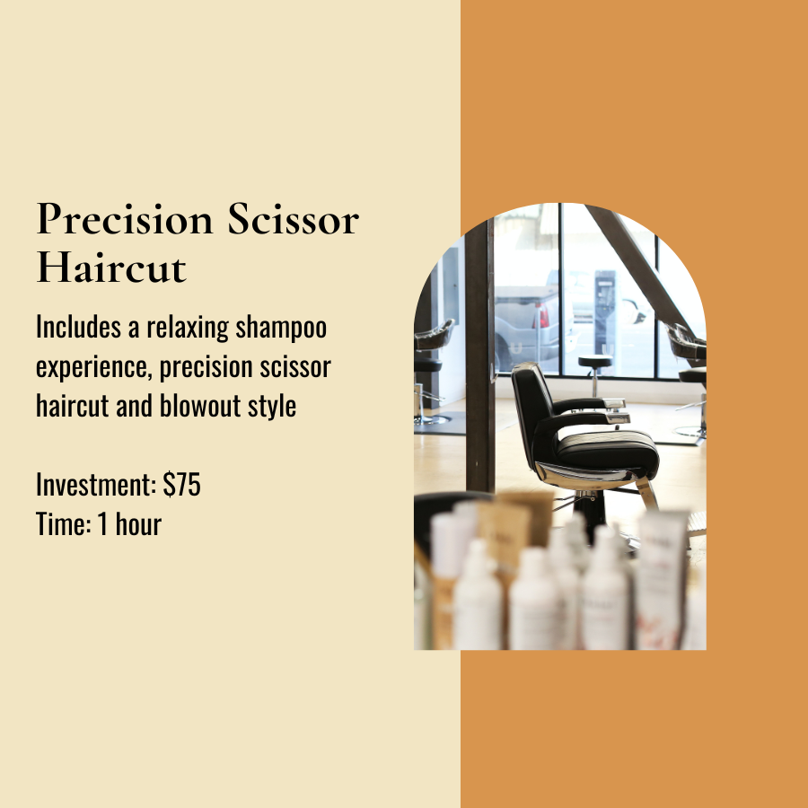 Scissor Haircut/blow dry