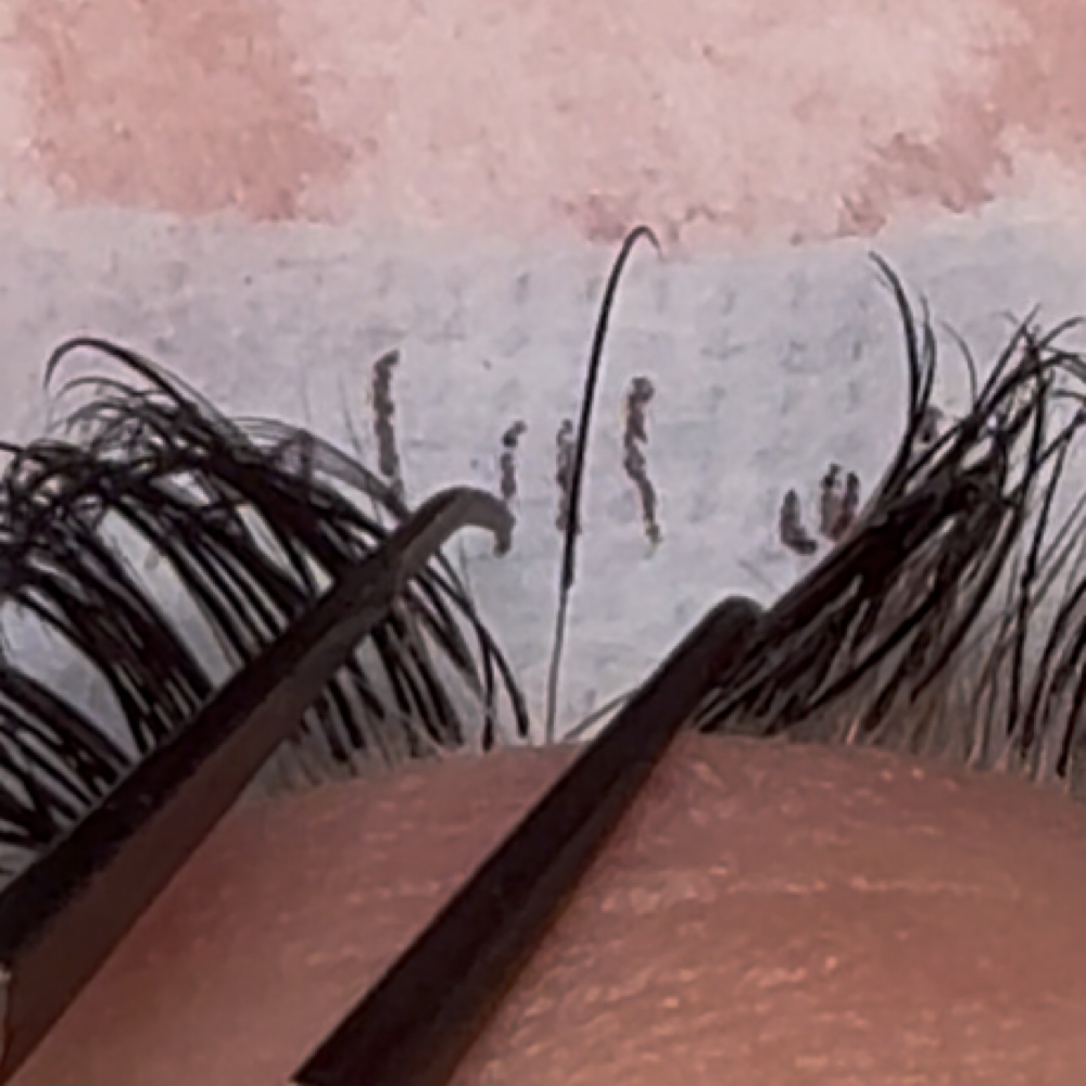 Lash Extension Fill at LB Lash Studio in West Fargo, ND