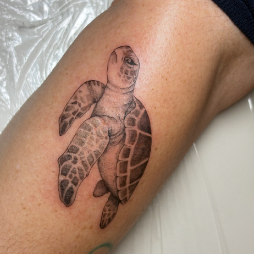 • medium tattoo by lochlyn at inkbyhalie • lochdidmyink in brick, NJ
