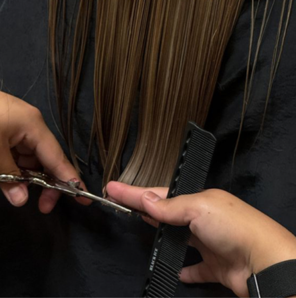 Maintenance Cut (With Color Only) at alyssacatherinehair in La Vista, NE