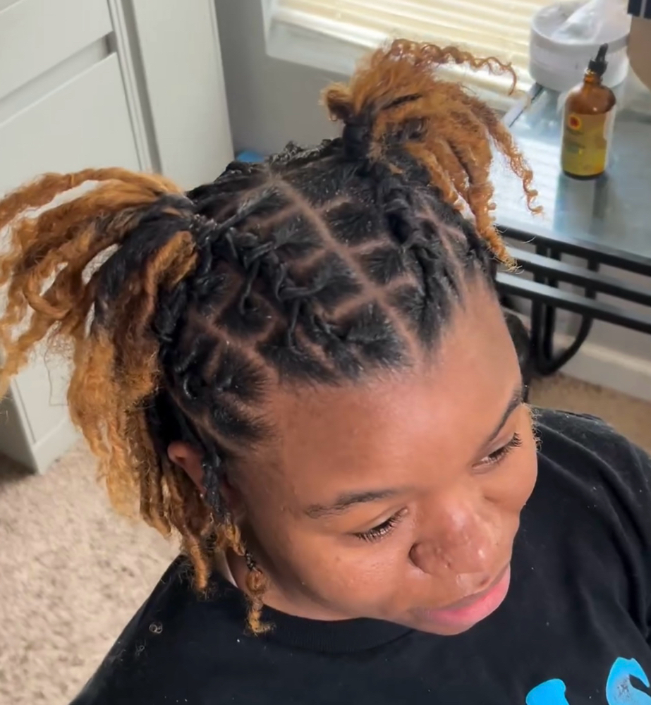 Starter Locs