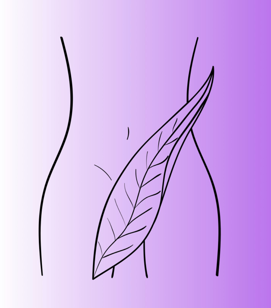 Tight Bikini Or Modified Brazilian at Siren Wax Studio in Idaho Falls, ID