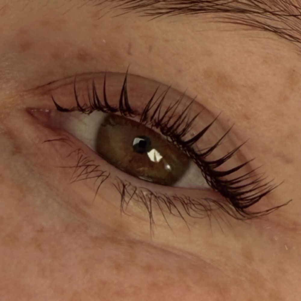 Lash Lift, Tint and Moisture Boost