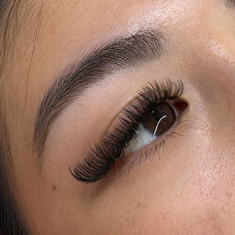 Volume Lash (Full Set)