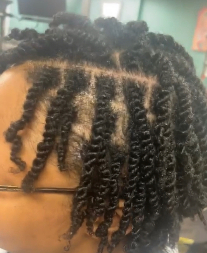 Two Strand Twist