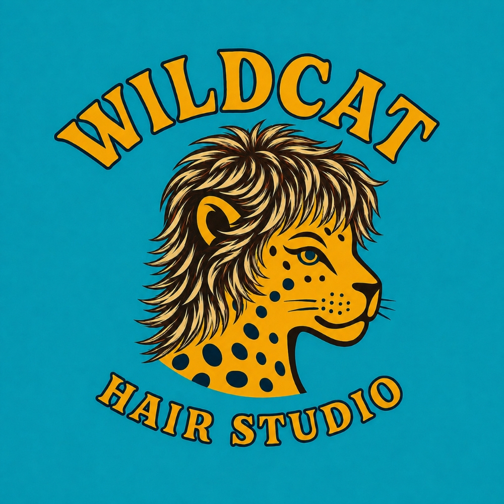 Highlight ($243) at WILDCAT HAIR STUDIO in San Diego, CA