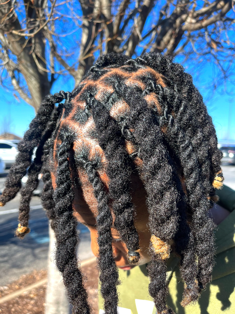 Tier 2 Loc Retwist at HAUS OF JAYLA in Murfreesboro, TN