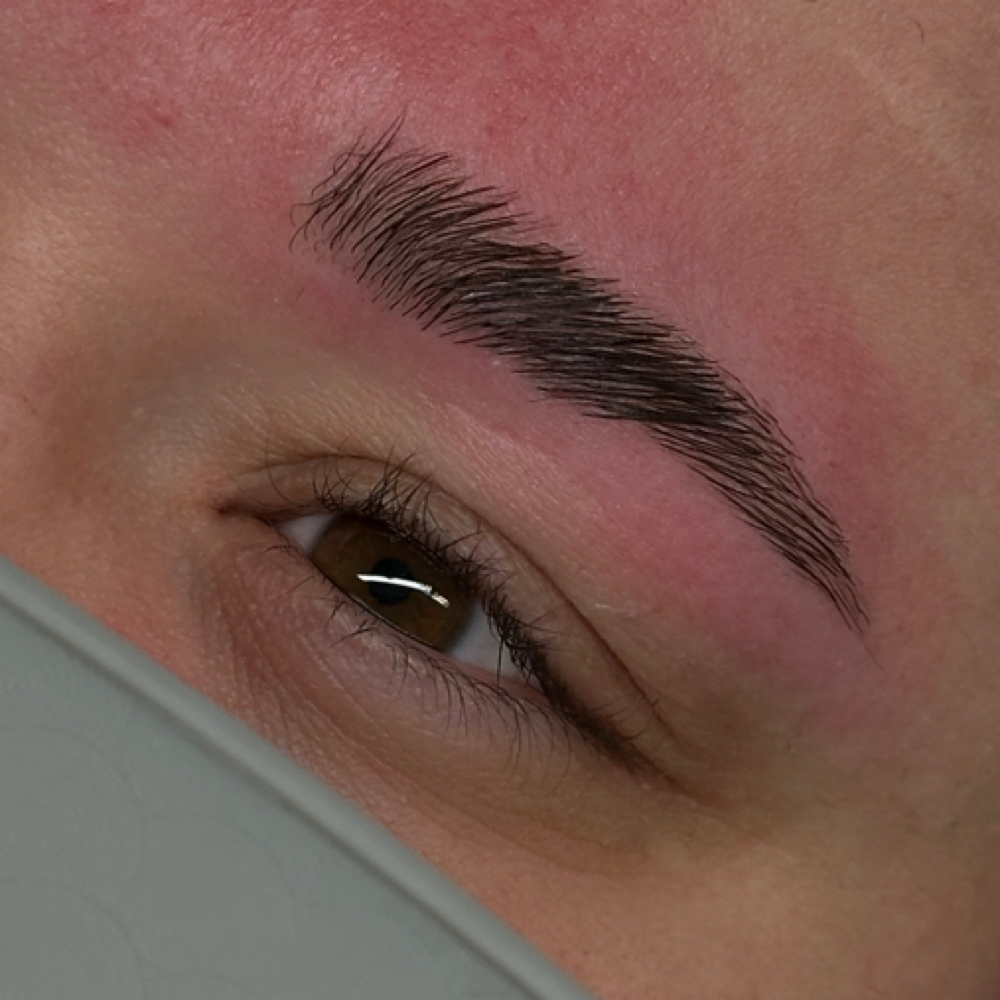 Brow Lamination + Tint at Beauty X Janessa in Austintown, OH