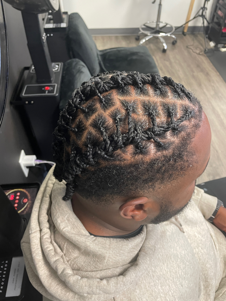 Starter Locs