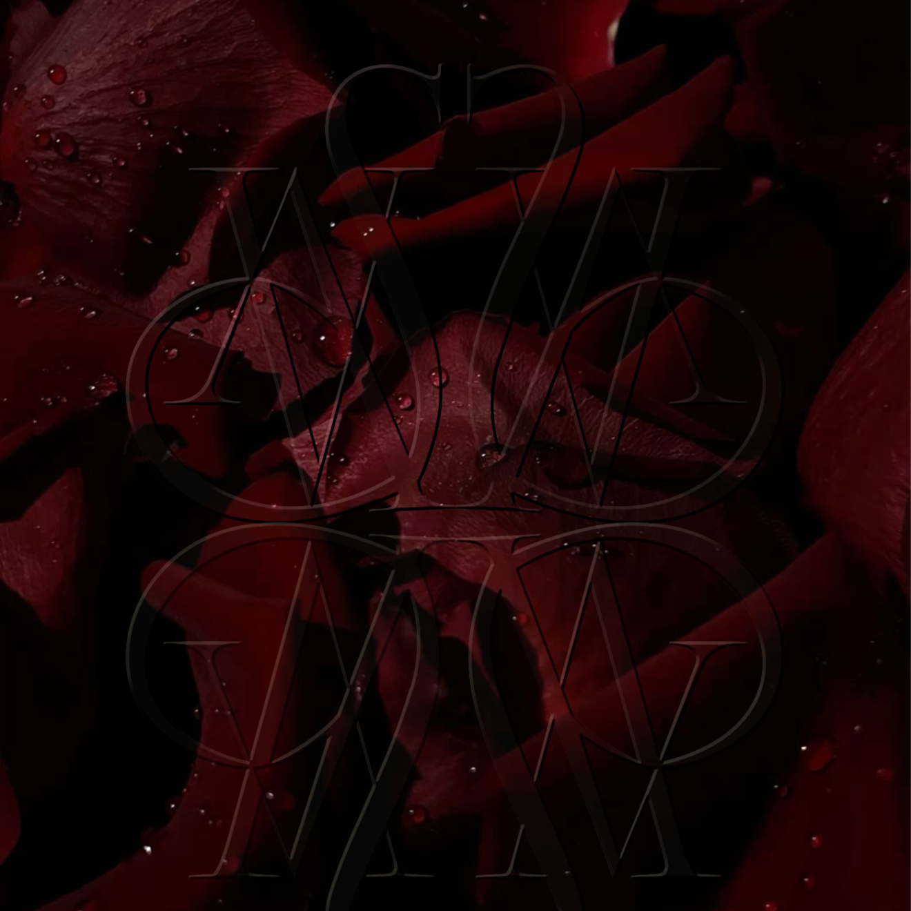 BROW LAM | KOREAN LASH LIFT BUNDLE